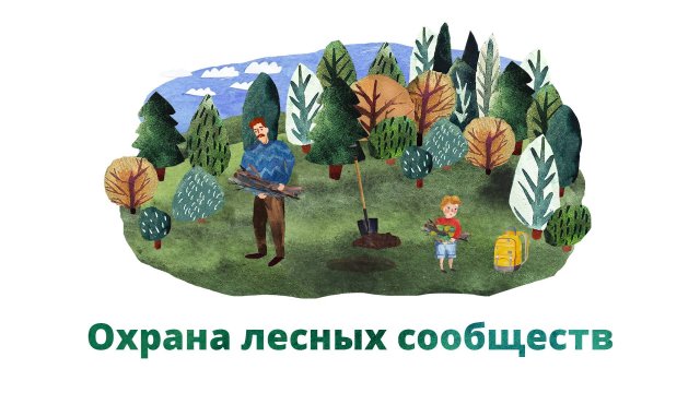 43. Охрана лесных сообществ