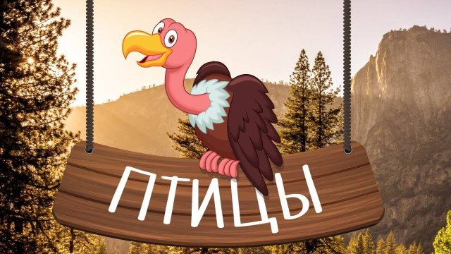 ПТИЦЫ - развивающие мультики для малышей. Учим животных вместе! На русском.