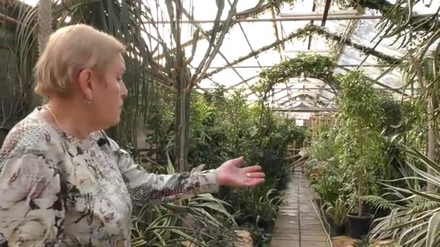 Экскурсия по нашей теплице.