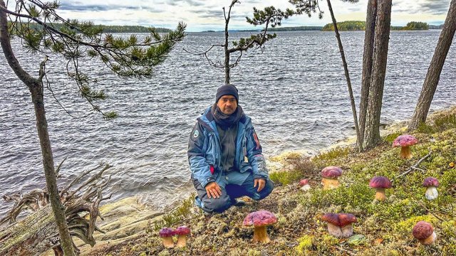 ТИХАЯ ОХОТА НА НЕОБИТАЕМОМ ОСТРОВЕ! БОРОВИКИ ПОЛЗУТ ПО СКЛОНАМ | НЕТРОНУТЫЕ ХОЛМЫ КАРЕЛИИ 2023