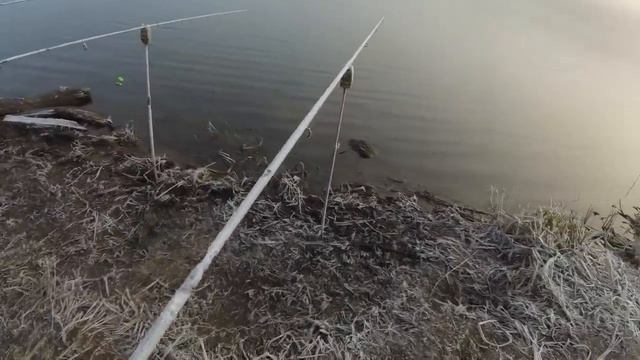 Ловля форели на пасту. Видео от Рыбалка Для Души