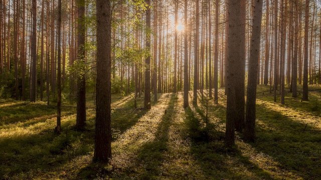 поездка к источнику три ивана. Карелия.