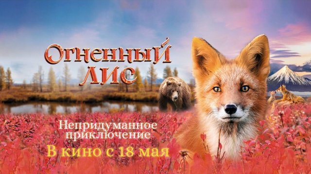 Огненный лис | Русский трейлер | Фильм 2024