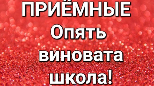 Дневник приёмной мамы/Обзор.
