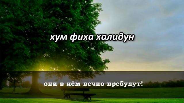 КОРАН ДЛЯ НАЧАЛА УСПЕШНОГО ДНЯ. НАПОЛНЯЕТ ПОЗИТИВОМ НА ВЕСЬ ДЕНЬ УКРЕПЛЯЕТ ИМАН, РЕШЕНИЕ ПРОБЛЕМ