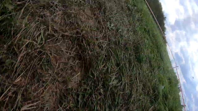 "Гонка героев – 2019": бэкстейдж "СофтЭксперт"