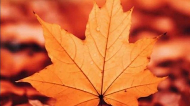 Доброе утро - пожелание доброго утра☕