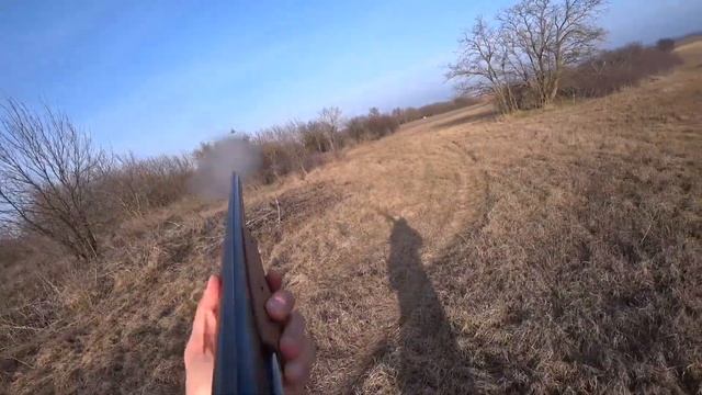 Вот это охота! Заяц и Гусь!