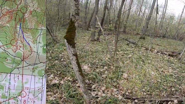 ПФО в Пензе, 2 день, лонг 11,5 км (Headcam orienteering №56)