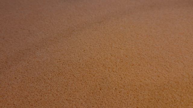 Новинки 2024 года, Япония, Болгария и куча всего