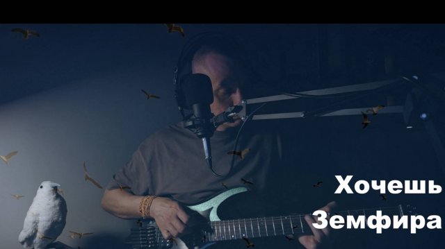 Хочешь (Земфира) - про тех, кого я люблю