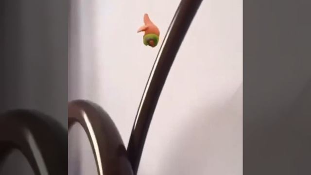 куда?