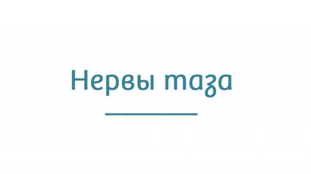 Нервы таза