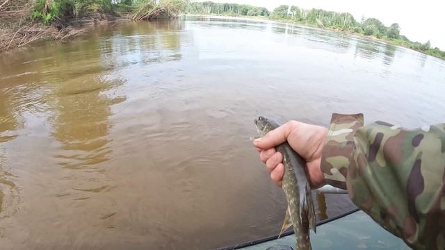 🎣ОТПУЩУ🎣