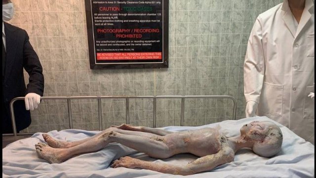 «Секретная группа» в Пентагоне собирала останки инопланетян в течение 50 лет