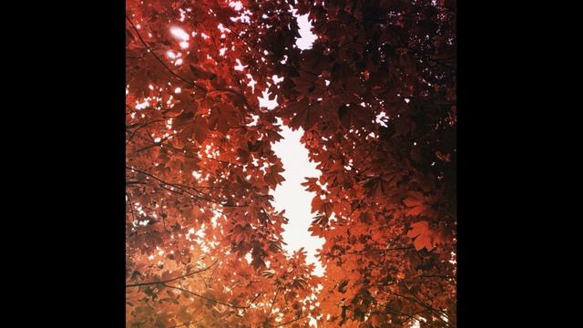 Sunbyonic - Burning