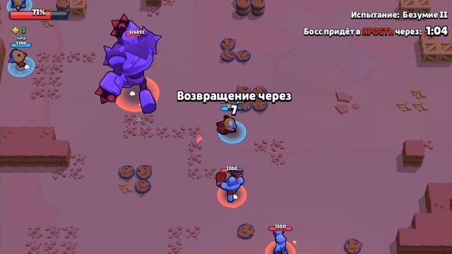 жопа