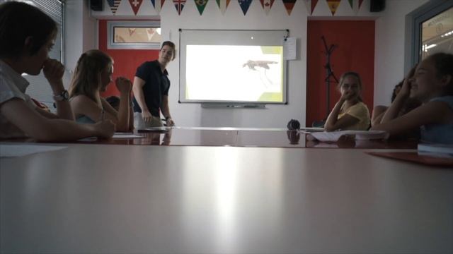 Английский язык для младших школьников