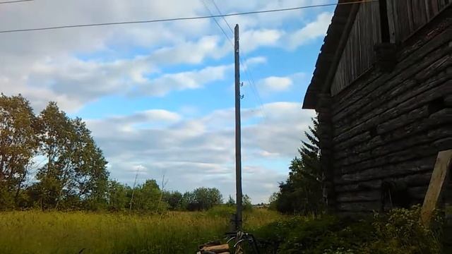 Ласточки