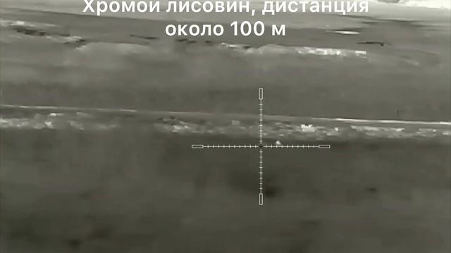 12. Охота на хищника в Волгоградской области, карабин R-715, прицел Iray Saim SCT35