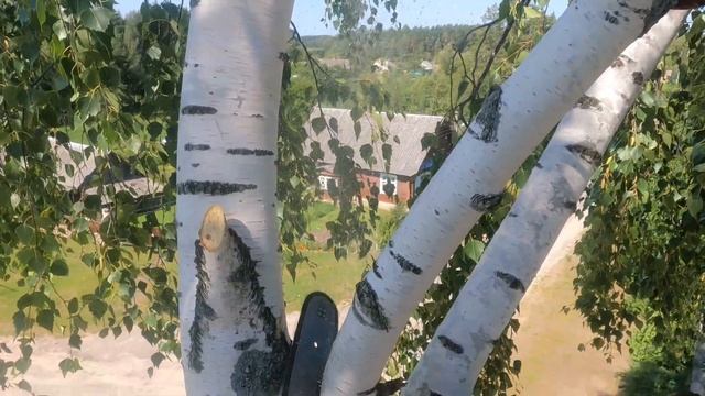 Арбористика‼️Удаление большой березы🌳по частям, в очень стесненных условиях рядом с домом🏠и ЛЭП