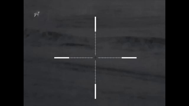 Ночная охота на хищника.