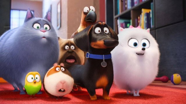 Тайная жизнь домашних животных 2 - The Secret Life of Pets 2