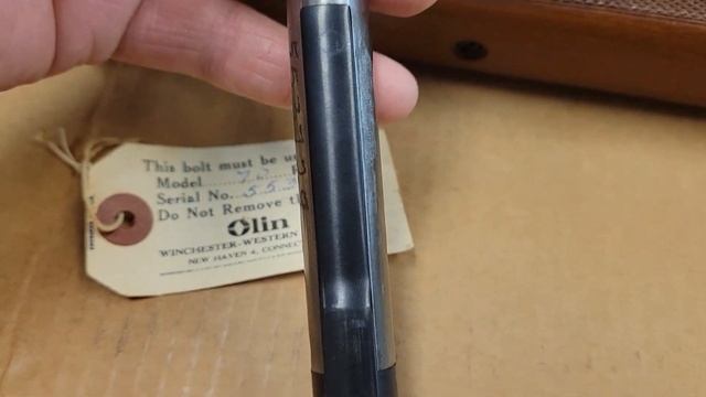 Winchester Model 70, 300 Win Mag pre 1964