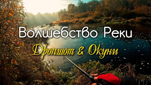 Первый морозец и ОКУНИ. Рыбалка на берегах реки Тосна #дропшот #микроджиг #рыбалка #окунь #fishing