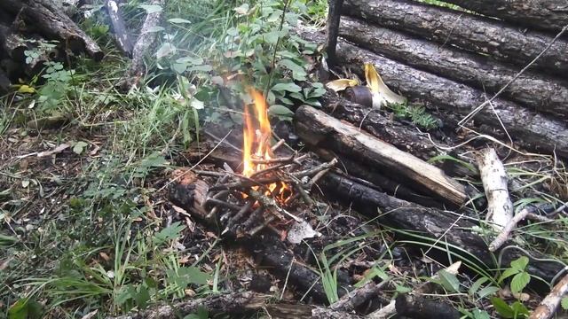 Поход в лес / Семейный поход с ребенком / Укрытие в лесу  / Осенний лес / Лесной поход