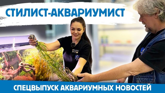 Аквариумные новости [Спецвыпуск]. Стилист-аквариумист.