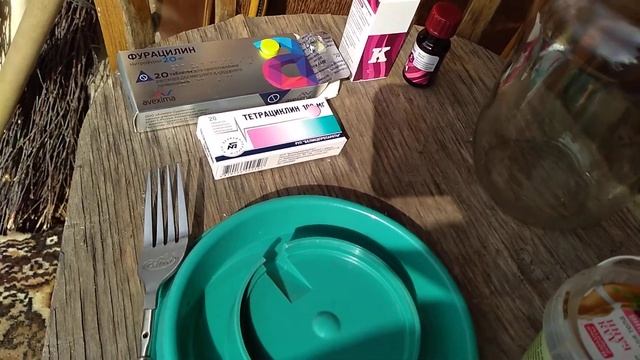 разведение гусей первые шаги,для начинающих.