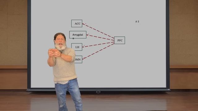 Robert Sapolsky: The Biology and Psychology of Depression