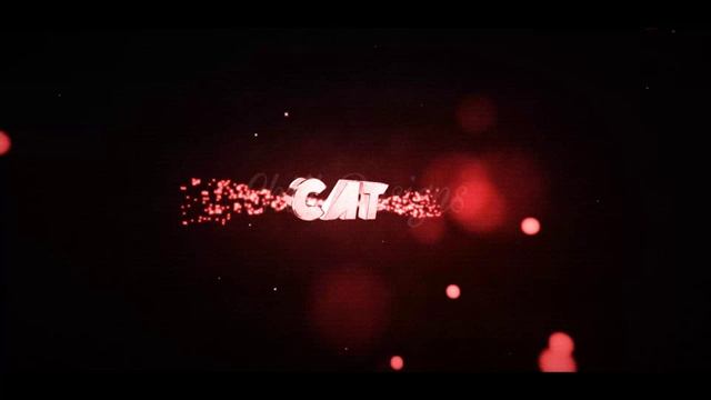 Intro
