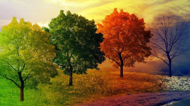 Календарно-обрядовые песни