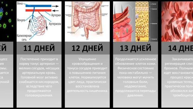 Что Происходит в Твоем Организме, Если Отказаться от Курения?