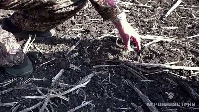 отзыв директора ООО _МП _Агроакадемия_ Цирулева