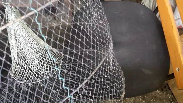 После такой доработки китайская мордушка/верша будет ловить кучу рыбы!!!