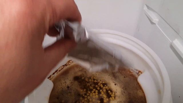 Mangrove Jack's Craft Series New Zealand Pilsner - Brew Review From Packet To Glass