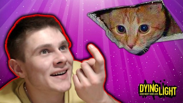 ПОГОНЯ ЗА КОШКОЙ