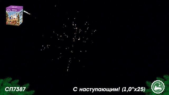 СП7387