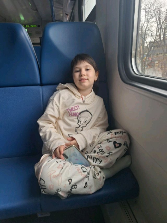 Алиса. лиса