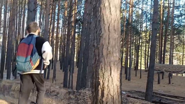ЗАБРОШЕННЫЕ МЕСТА В ЛЕСУ!