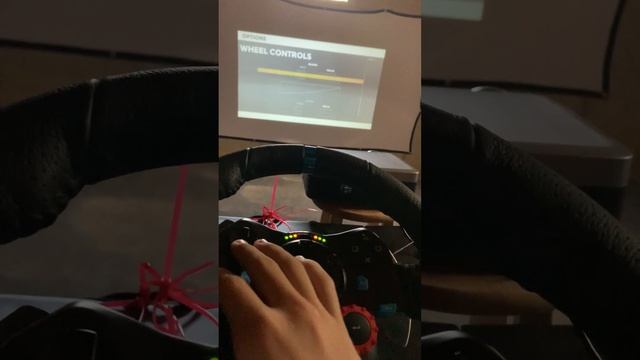 logitech g29 calibration issue
