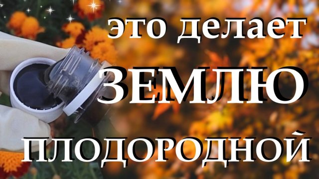 Добавляю один колпачок этого удобрения и делаю землю плодородной. Осенние работы в огороде