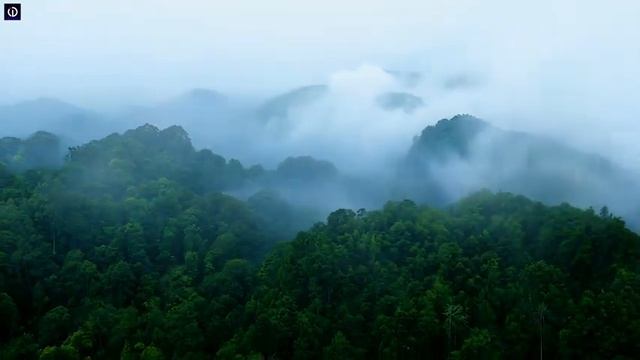 Tongass Summer Mix Best Of Tropical Deep House Music Chill Out Mix By Imagine Deep