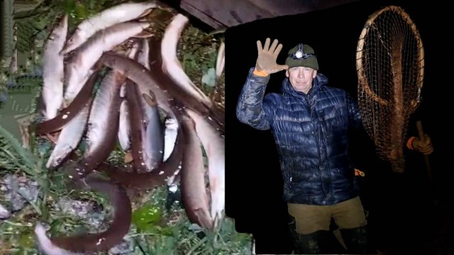 Ловля щуки ночью саком.