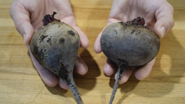 Зачем я только нашел этот рецепт. Съели пол тазика за вечер, такая вкусная закуска из свеклы