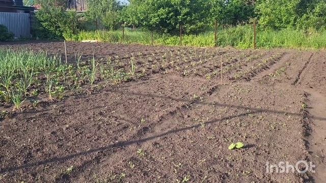 Дневник приёмной мамы/Обзор.