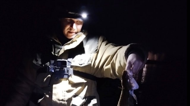 Рыбалка на налима и голавля. Ловля на донки и поставушки. Рыбалка на нарезку